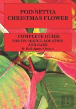 Poinsettia.Chistmas Flower