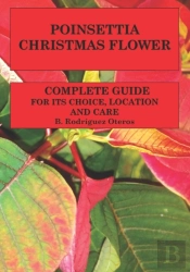 Poinsettia.Chistmas Flower