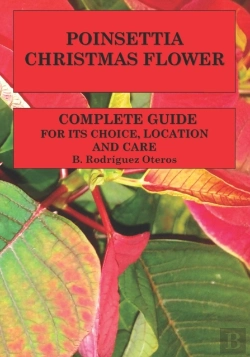Bertrand.pt - Poinsettia.Chistmas Flower