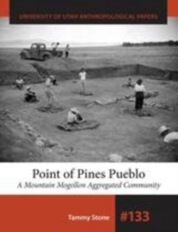 Bertrand.pt - Point Of Pines Pueblo