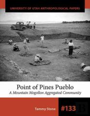 Point Of Pines Pueblo