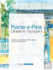 Pointe-A-Pitre Chemin Faisant