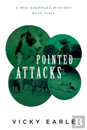 Pointed Attacks