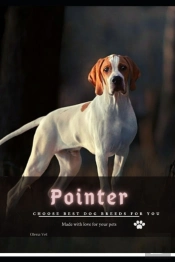 Pointer