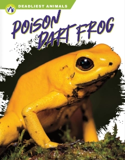 Bertrand.pt - Poison Dart Frog