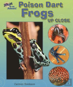 Bertrand.pt - Poison Dart Frogs Up Close
