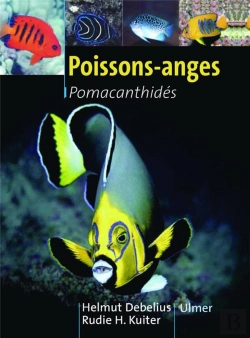 Bertrand.pt - Poissons-Anges ; Pomacanthides
