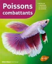 Poissons Combattants