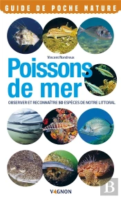 Poissons De Mer ; Observer Et Reconnaître 50 Espèces De Notre Littoral
