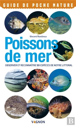 Bertrand.pt - Poissons De Mer ; Observer Et Reconnaître 50 Espèces De Notre Littoral