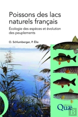 Bertrand.pt - Poissons Des Lacs Naturels Français ; Écologie Des Espèces Et Évolution Des Peuplements