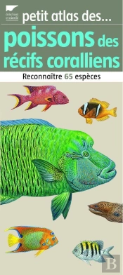 Poissons Des Récifs Coralliens