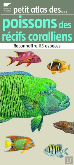 Bertrand.pt - Poissons Des Récifs Coralliens