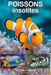 Poissons Insolites : Belles Photos. Description. Poèmes