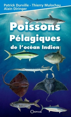 Bertrand.pt - Poissons Pélagiques De L'Océan Indien