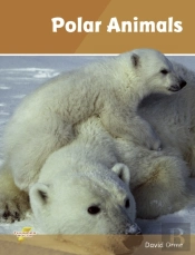 Polar Animals