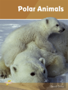 Polar Animals