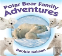 Polar Bear Family Adventures