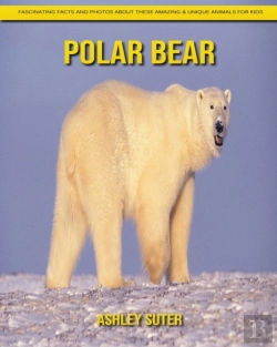 Bertrand.pt - Polar Bear