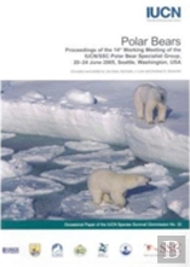 Polar Bears