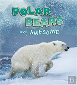 Bertrand.pt - Polar Bears Are Awesome