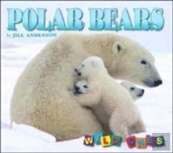 Bertrand.pt - Polar Bears