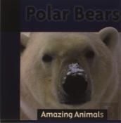 Polar Bears