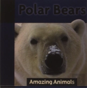 Polar Bears