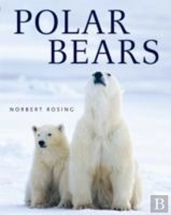 Bertrand.pt - Polar Bears