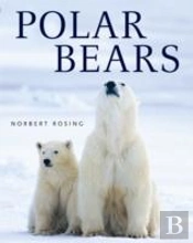 Polar Bears