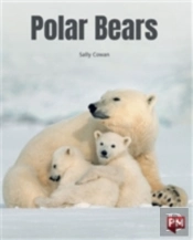 Polar Bears