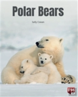 Bertrand.pt - Polar Bears