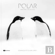 Polar : Mémoires Des Glaces
