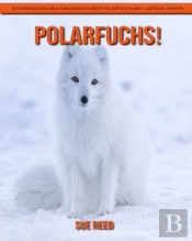 Polarfuchs! Ein Padagogisches Kinderbuch Uber Polarfuchs Mit Lustigen Fakten