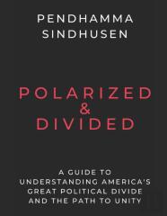Polarized & Divided