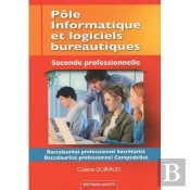 Pôle Informatique Et Logiciels Bureautiques ; Baccalauréat Professionnel Secrétariat, Baccalauréat Professionnel Comptabilité