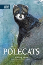 Polecats