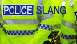 Bertrand.pt - Police Slang