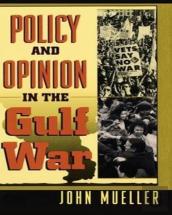 Policy And Opinion In The Gulf War