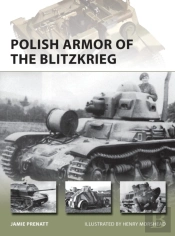 Polish Armor Of The Blitzkrieg