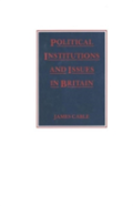Political Institutions And Issues In Britain