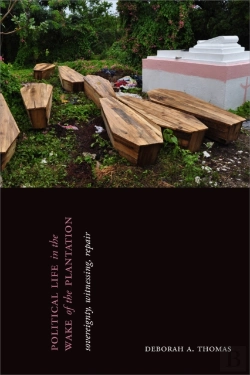 Bertrand.pt - Political Life In The Wake Of The Plantation