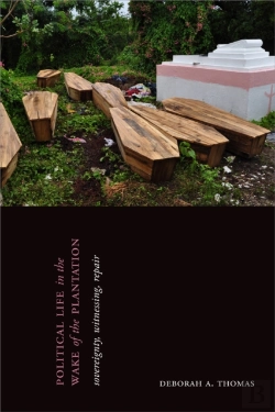 Bertrand.pt - Political Life In The Wake Of The Plantation