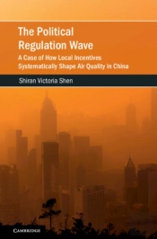 Political Regulation Wave