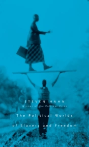 Political Worlds Of Slavery And Freedom