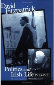 Politics And Irish Life 1913-21