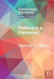 Politics In A Pandemic