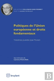 Politiques De L'Union Européenne Et Droits Fondamentaux ; Treizièmes Journées Jean Monnet