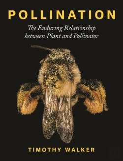 Bertrand.pt - Pollination