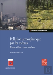 Pollution Atmospherique Par Les Metaux
